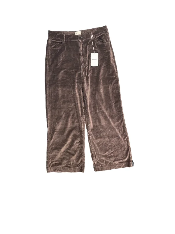 women's chiffon pantsPants Other By Dl1961 In Brown, Size: 34